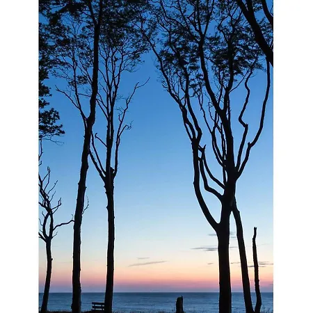 Gesine 5 Ostseeloggia أوستسيباد نينهاجن